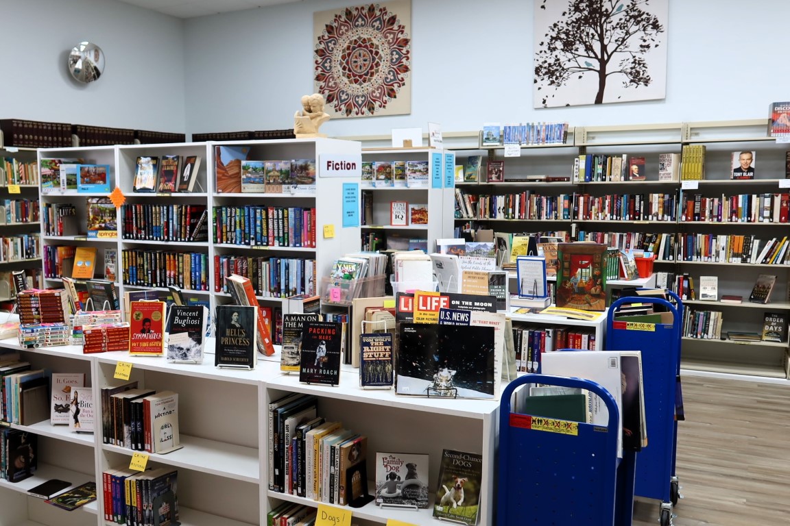 Bookseller (Medium)